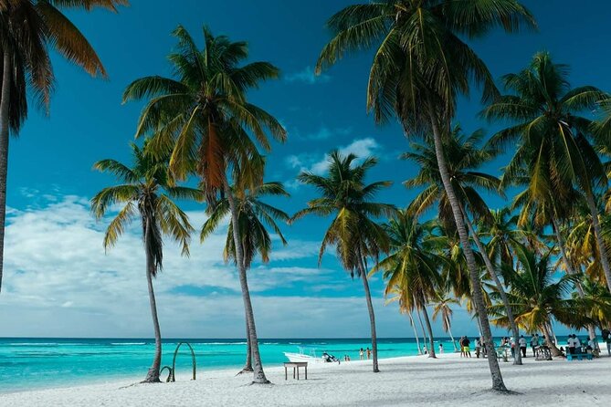 Punta Cana: Saona Island Catamaran Open Bar / Food Hotel Pickup - Dominican buffet lunch at about 12:30 p.m.