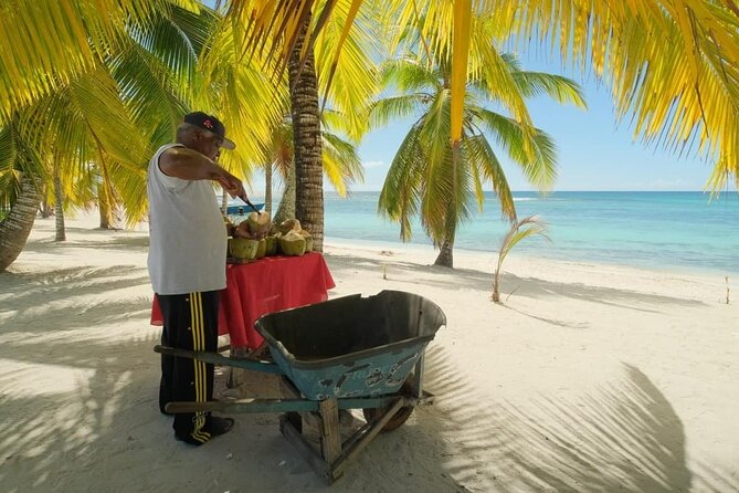 Punta Cana: Saona Island Catamaran Open Bar / Food Hotel Pickup - Who will enjoy this Saona outing most