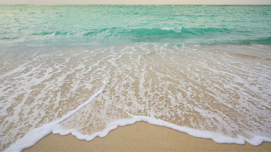 Punta Cana: Saona Island Catamaran Tour with Food & Open Bar - A half-hour at the Natural Swimming Pool
