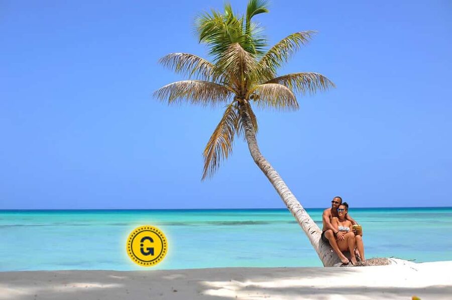 Punta Cana: Saona Island Day Tour and Catamaran Party - Why Saona Island makes this a full-day outing