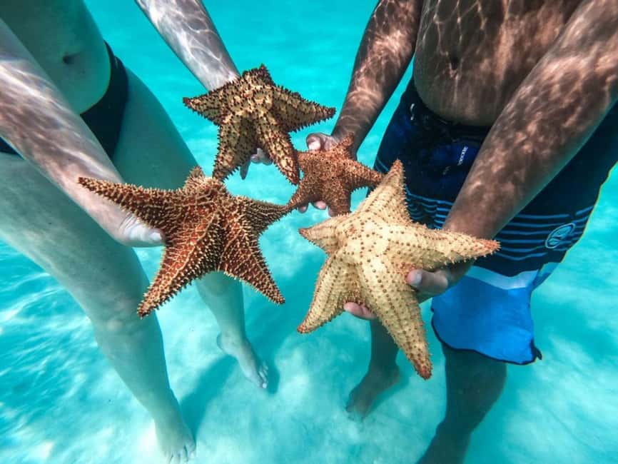 Punta Cana: Saona Island Day Tour and Catamaran Party - Practical advice for making the day easier
