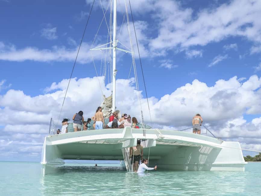 Punta Cana: Saona Island Day Trip with Blue Lagoon & Lunch - From Punta Cana to the La Romana coast