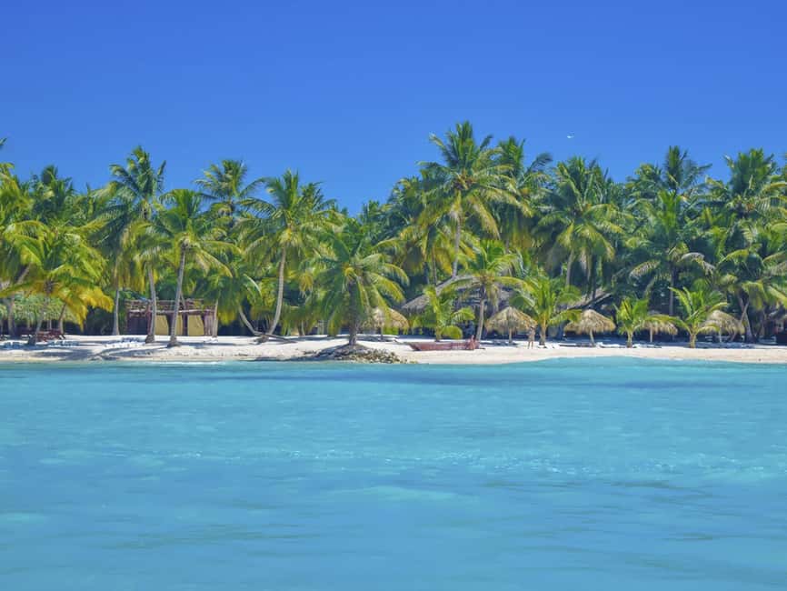 Punta Cana: Saona Island Day Trip with Blue Lagoon & Lunch - Saona Island beach time and coconut water