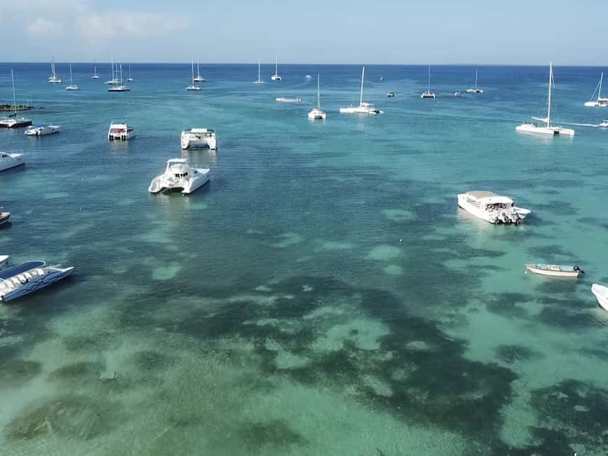 Punta Cana: Saona Island Day Trip with Blue Lagoon & Lunch - Should you book this tour?