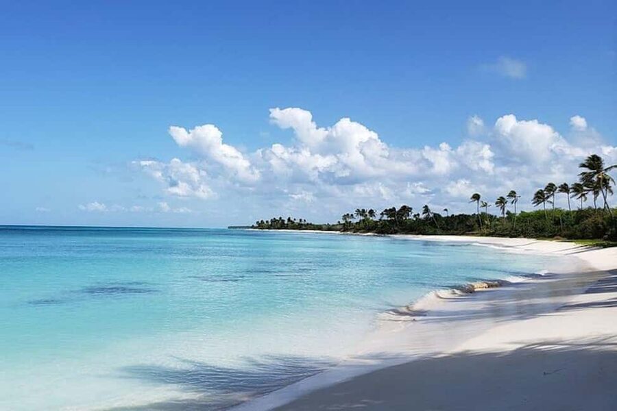 Punta Cana: Saona Island Full-Day Group Tour - Reef snorkeling near Bayahibe