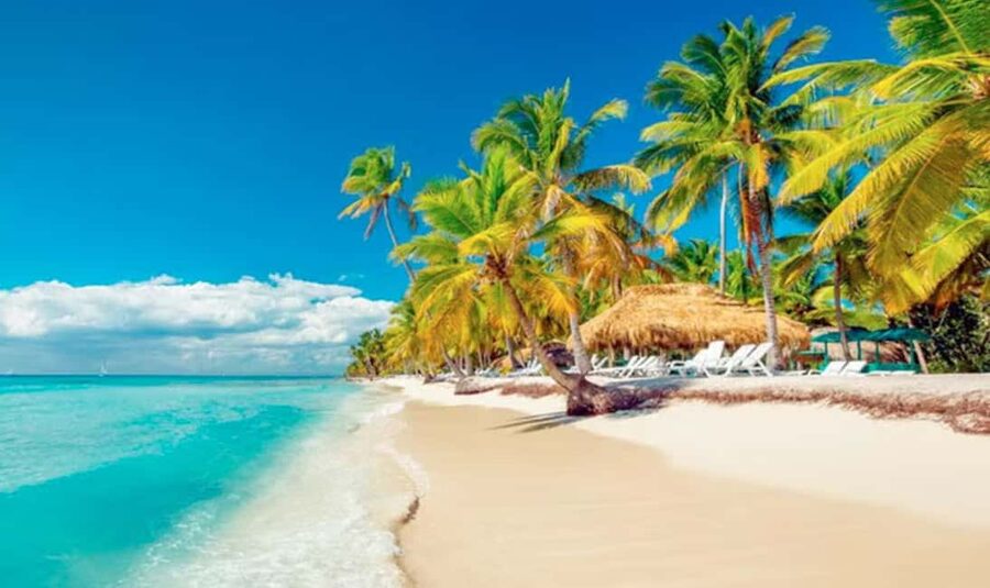 Punta Cana: Saona Island Tour with Lunch and Drinks - Blue Lagoon gives you a calm first stop