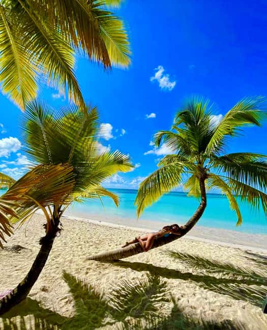 Punta Cana: Saona Island VIP | Private Beach, Open Bar & Lunch - Key points at a glance