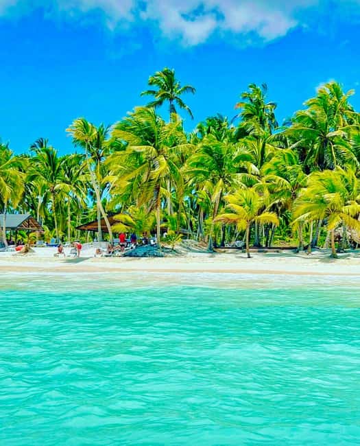 Punta Cana: Saona Island VIP | Private Beach, Open Bar & Lunch - Who will enjoy this nine-hour outing