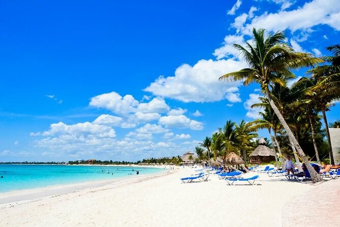 Punta Cana: Saône Island in Catamaran, Small Groups, With Food - Saona Island is the reason to go