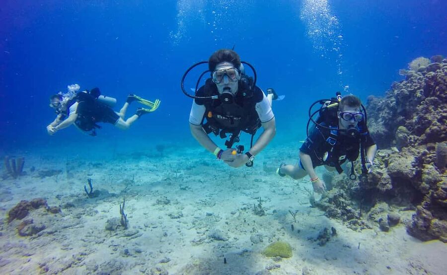 Punta Cana: Scuba Diving Adventure to Catalina Island - Key points to know before booking