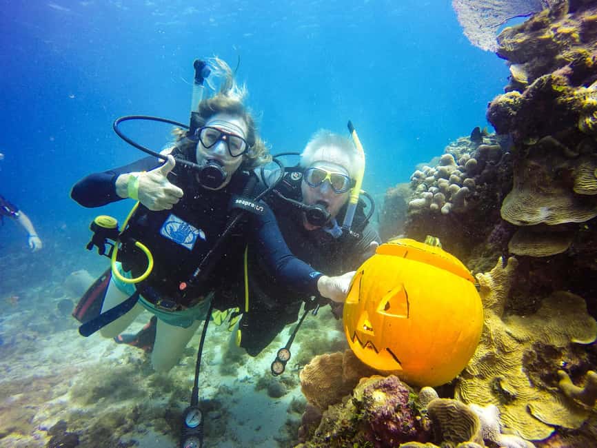 Punta Cana: Scuba Diving Adventure to Catalina Island - What happens at the marina and on the boat
