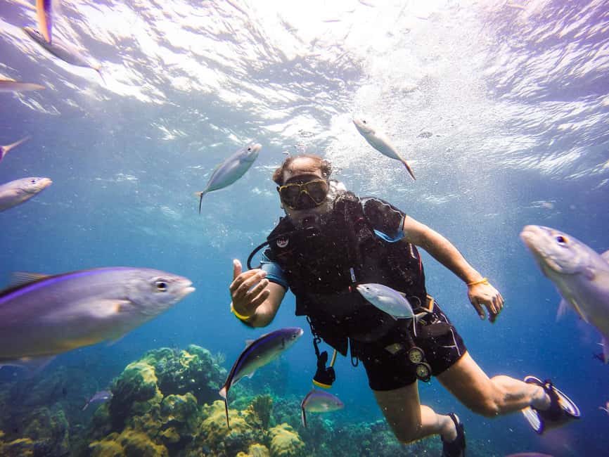 Punta Cana: Scuba Diving Adventure to Catalina Island - The trip from Punta Cana takes real time