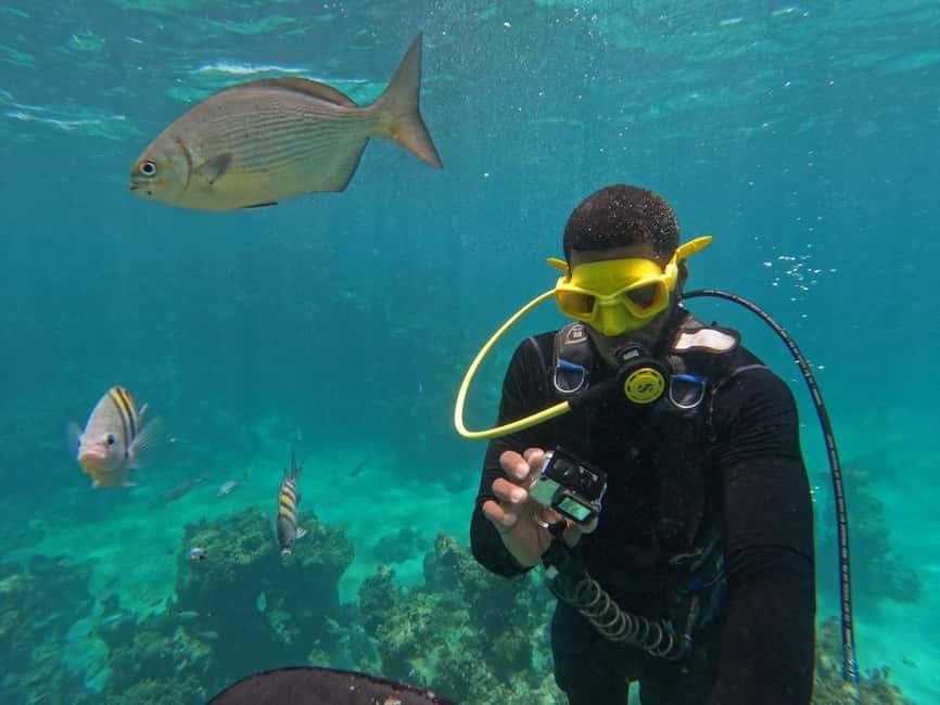 Punta Cana: Scuba Doo Adventure with Round-Trip Transfer - Simple ways to improve your morning