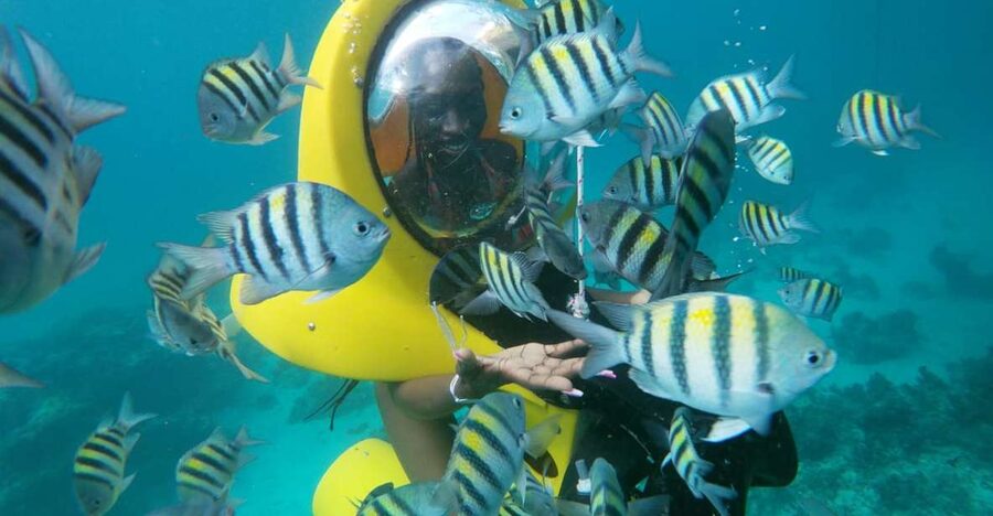 Punta Cana: Scubadoo Ocean Exploration Diving Adventure - Is $76 a fair price?