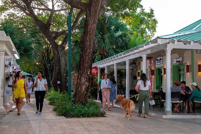 Punta Cana Shopping Tour - Who will enjoy this tour most?