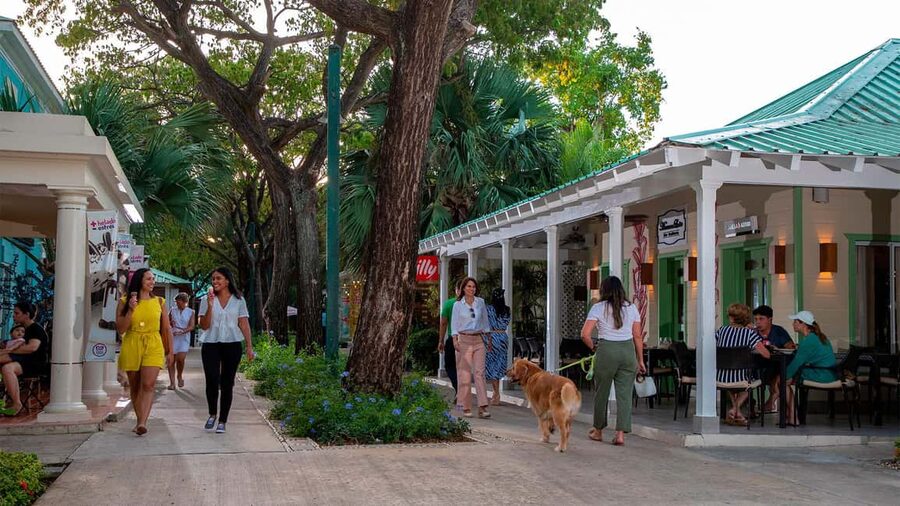 Punta Cana: Shopping Tour with Hotel Pickup and Drop-Off - At the plaza, expect souvenir shopping rather than a market tour