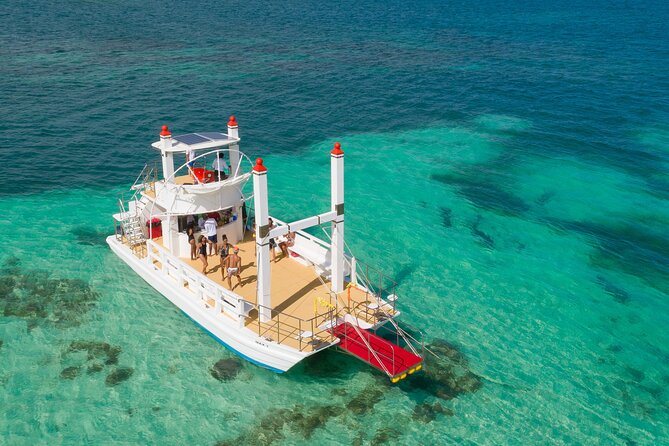 Punta Cana Slide Boat (Medium Group) - Snorkeling over coral and tropical fish