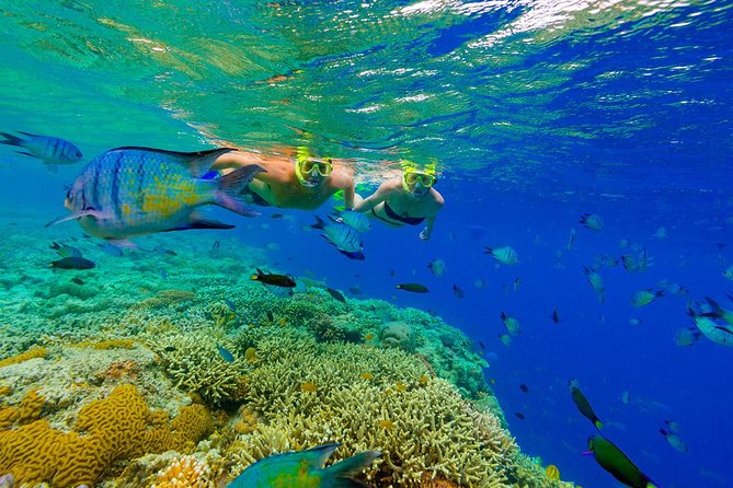 Punta Cana Snorkeling Cruise and Dune buggy Combo Adventure - Macao Beach and the Caribbean coast