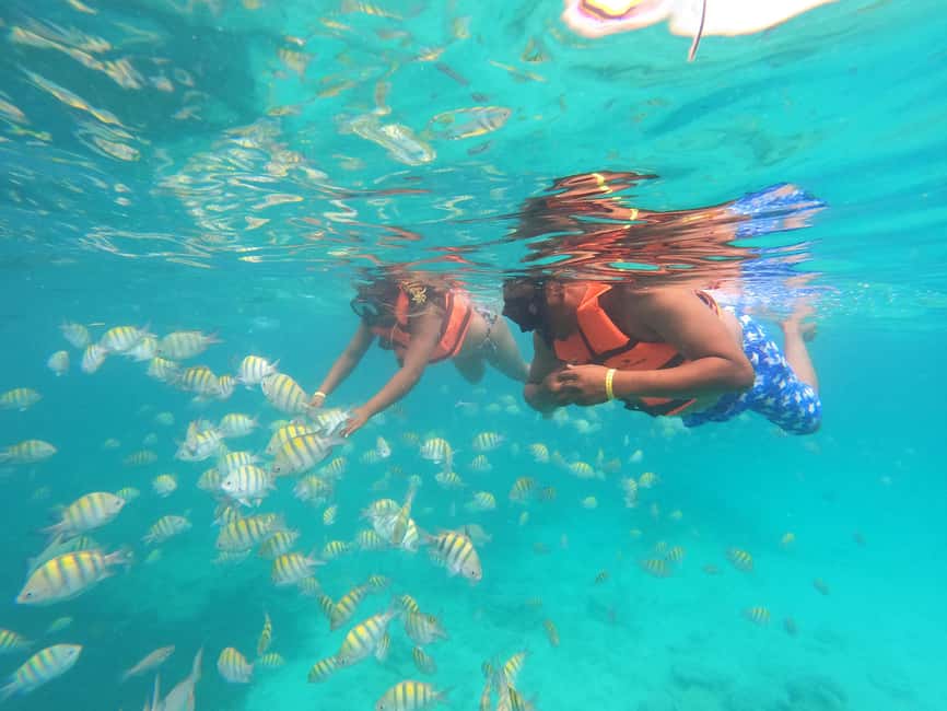 Punta Cana: Speed Boat Ride & Snorkel Adventure - Practical booking advice for Bávaro hotels