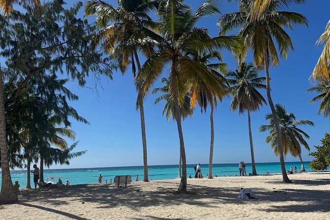 Punta Cana Speed Boat to Saona Island with Lunch & Natural Pools - Lunch With Dominican Dishes and Included Drinks