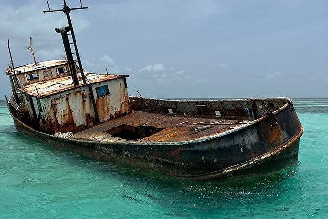 Punta Cana Speed Boat to Saona Island with Lunch & Natural Pools - The Boat Ride Versus the Beach