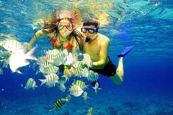 Punta Cana Speed Boat Tour and Snorkeling - Coral, fish, and the question of SNUBA