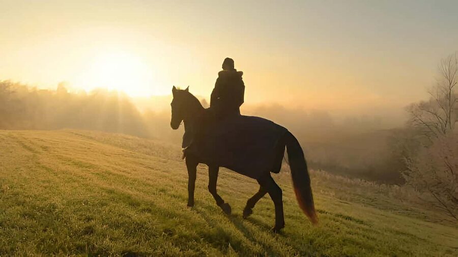 Punta Cana: Sunset Horseback Ride in Macao Beach and Forest - Booking flexibility and language support