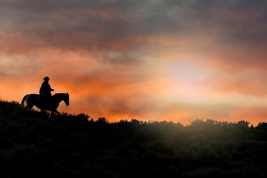 Punta Cana: Sunset Horseback Ride in Macao Beach and Forest - Riding from Punta Cana to Macao Beach