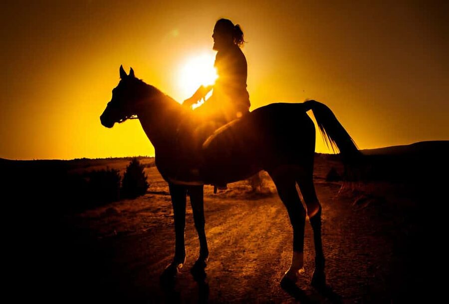 Punta Cana: Sunset Horseback Ride in Macao Beach and Forest - Through the forest and local back roads