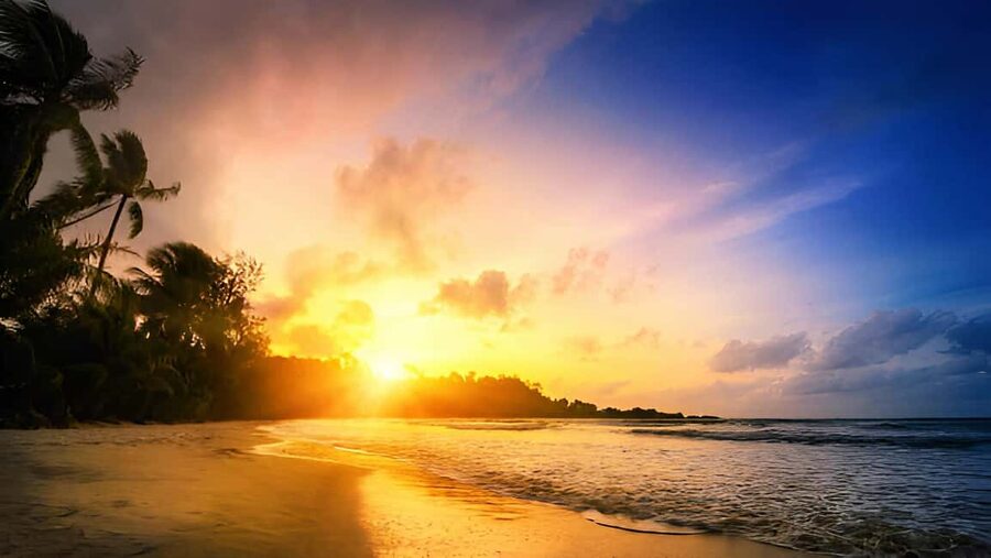 Punta Cana: Sunset Horseback Ride in Macao Beach and Forest - What to pack for Macao