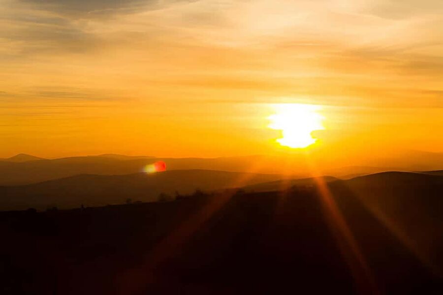 Punta Cana: Sunset Horseback Ride in Macao Beach and Forest - What happens at the ranch