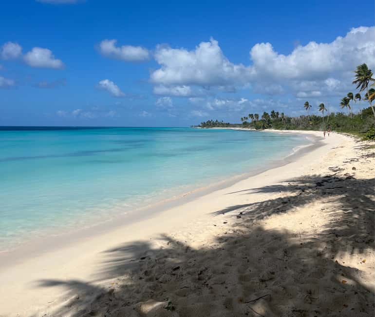 Punta Cana: Three Treasures of Saona - Palmilla, Pueblo & Canto de la playa - The morning transfer from Punta Cana or Bayahíbe