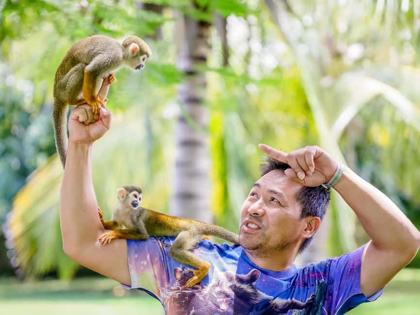 Punta Cana: Tour Monkey Adventure With Hotel Pick Up - Key details before you book