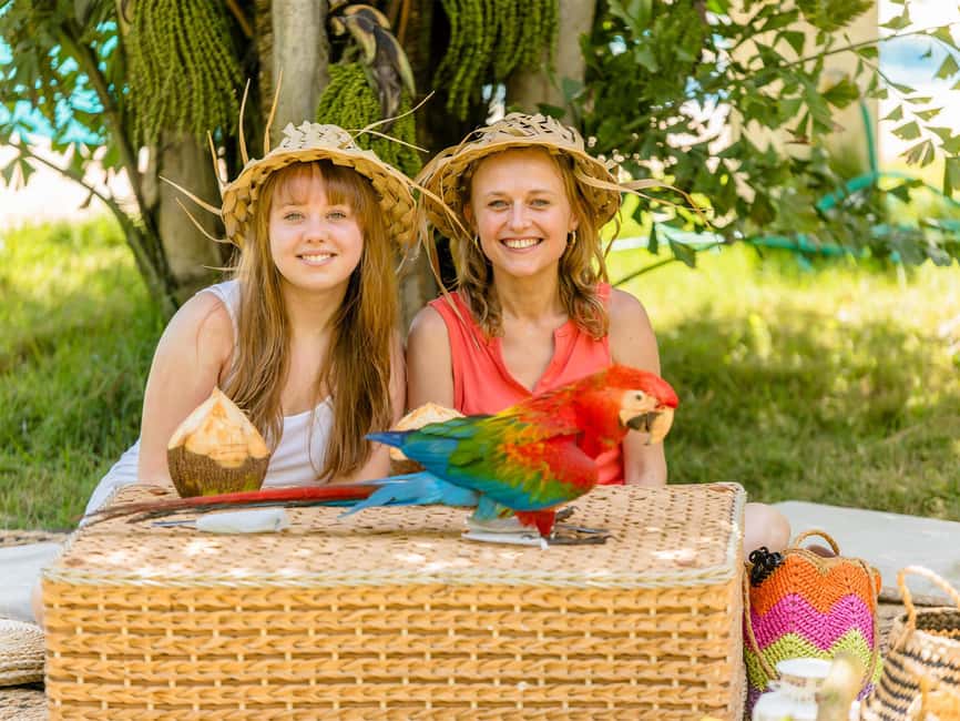 Punta Cana: Tour Monkey Adventure With Hotel Pick Up - Hotel pickup and the Punta Cana schedule
