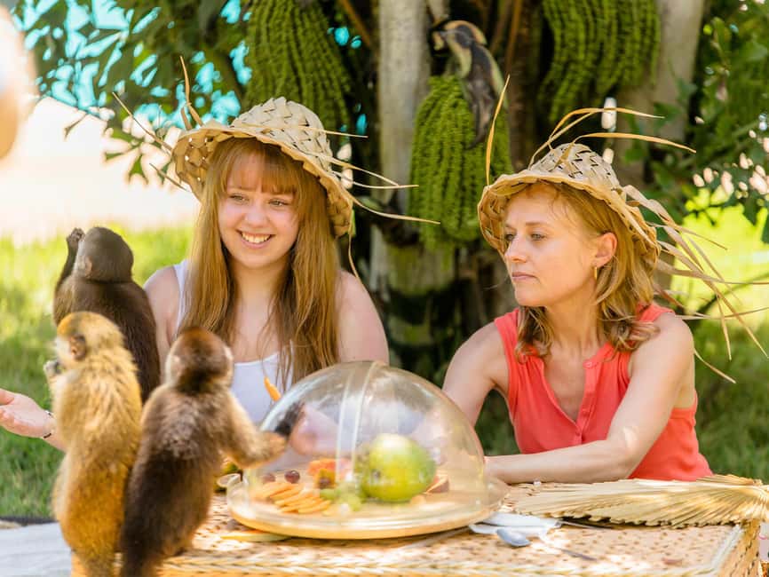 Punta Cana: Tour Monkey Adventure With Hotel Pick Up - The local store and handmade souvenirs
