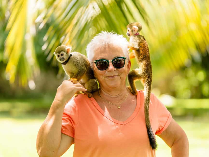 Punta Cana: Tour Monkey Adventure With Hotel Pick Up - The first hour: close contact and posed photos