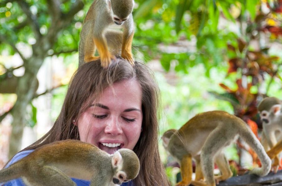 Punta Cana: Triple Jungle Adventure Park Tour with Tastings - Swimming in the Anamuya River