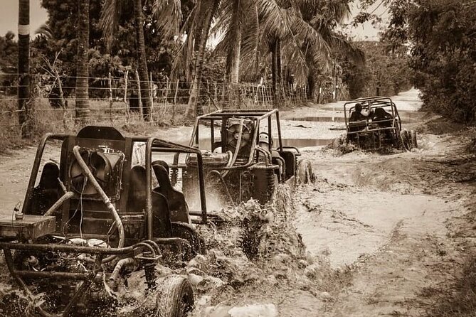 Punta Cana: Ultimate Dune Buggy Experience in Macao Beach Caves - Coffee, cacao, and the local home stop