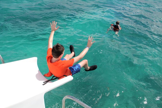 Punta Cana VIP Party Cruise with Snorkeling & Double Slide - Dolphin views, with realistic expectations