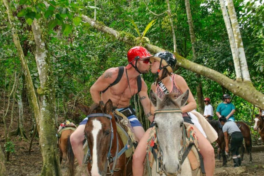 Punta Cana: Whale Watching, Cayo Levantado & Limon Waterfall - What to Bring for a Smoother Day