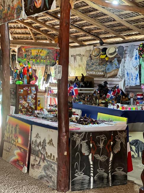 Punta Cana: Wild Off-Road Dune Buggy Adventure - Why this buggy trip is more than a beach transfer