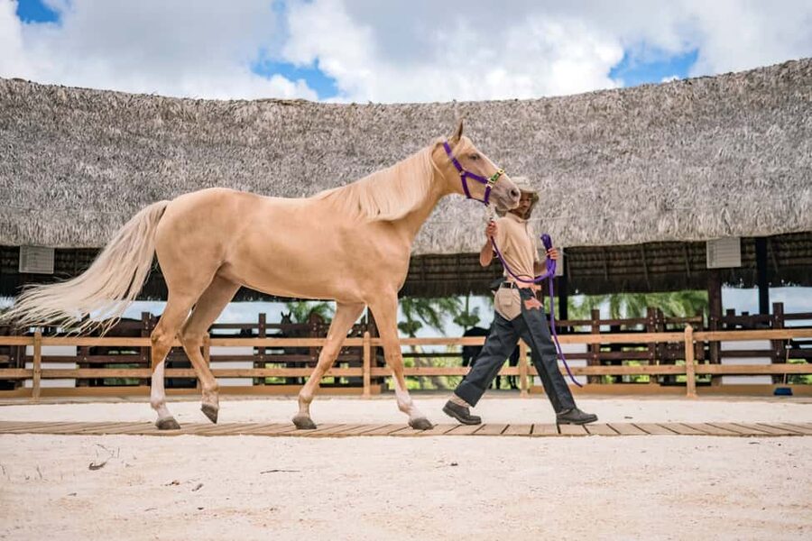 Punta Cana: Xploration Animal Park Bus Tour with Encounters - Should you book Xploration Animal Park?