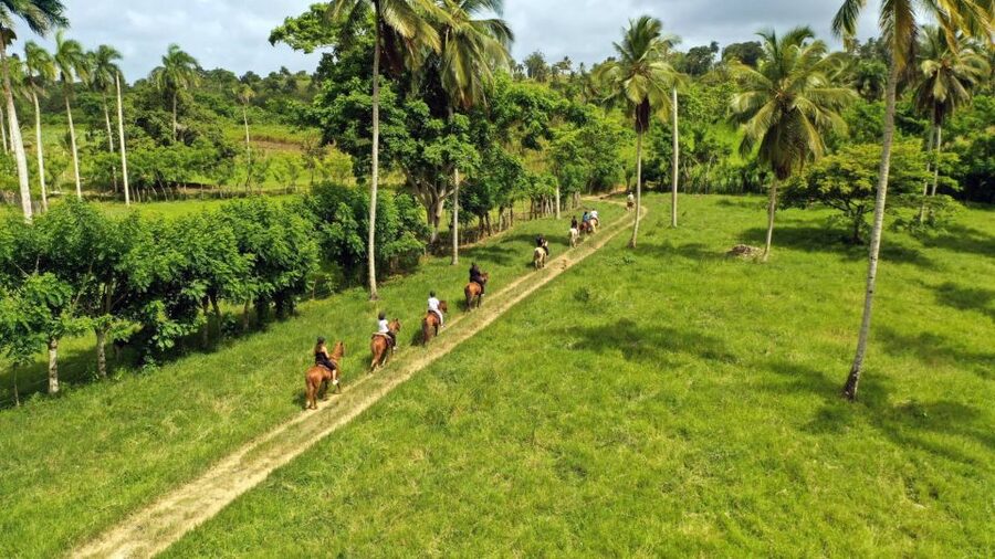 Punta Cana: Xploration Animal Park Bus Tour with Encounters - Horse riding for beginners and return riders