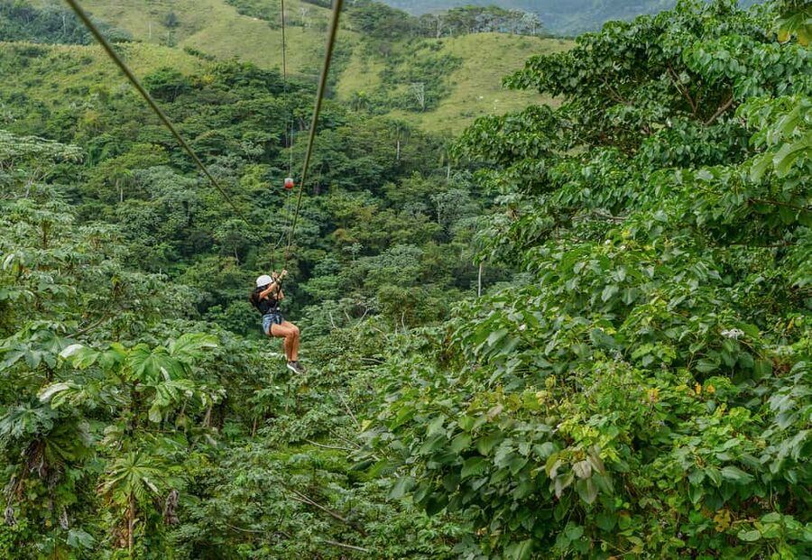 Punta Cana: Zipline, Chairlift, Buggy & Horse Ride Adventure - Zip lines across the tropical forest