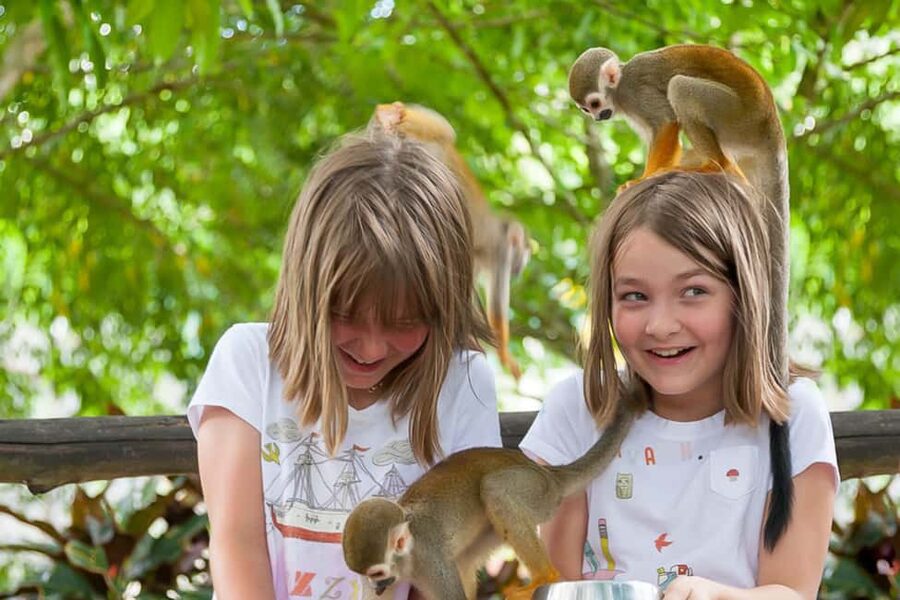 Punta Cana: Ziplines Adventures & Monkeyland Entry - Quick points to know
