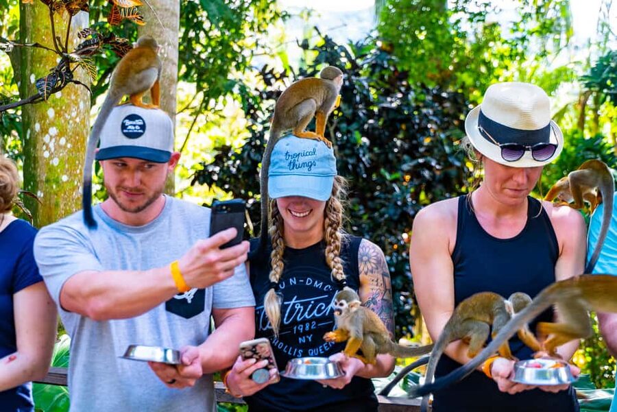 Punta Cana: Ziplines Adventures & Monkeyland Entry - What the zipline feels like for nervous beginners