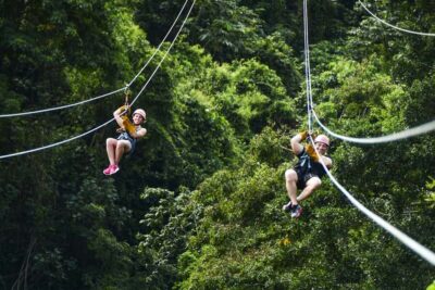 Ziplines Adventures & Monkeyland Entry