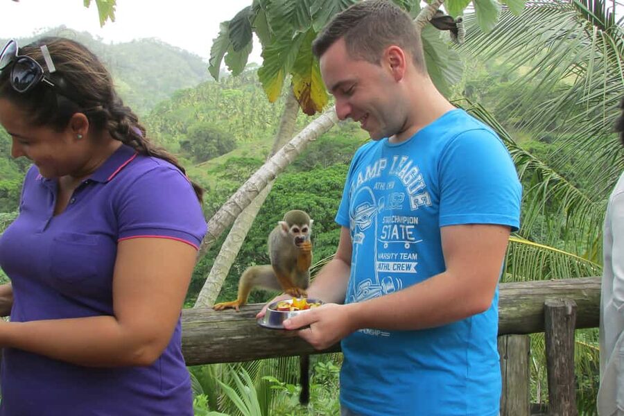 Punta Cana: Ziplines Adventures & Monkeyland Entry - Guides, group rhythm, and organization