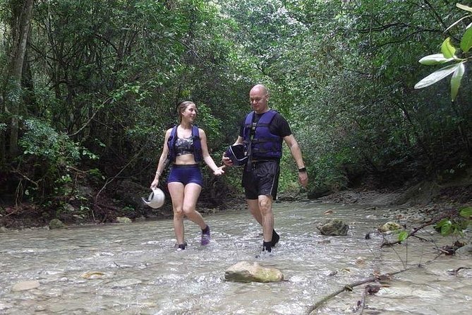 Rainforest Trek to Natural Pool - Taino Bay & Amber Cove ports - The forest walk to the lower falls
