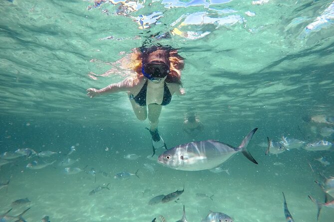Reef Explorer Half Day Trip - Bávaro Beach gives you a whole menu of water activities